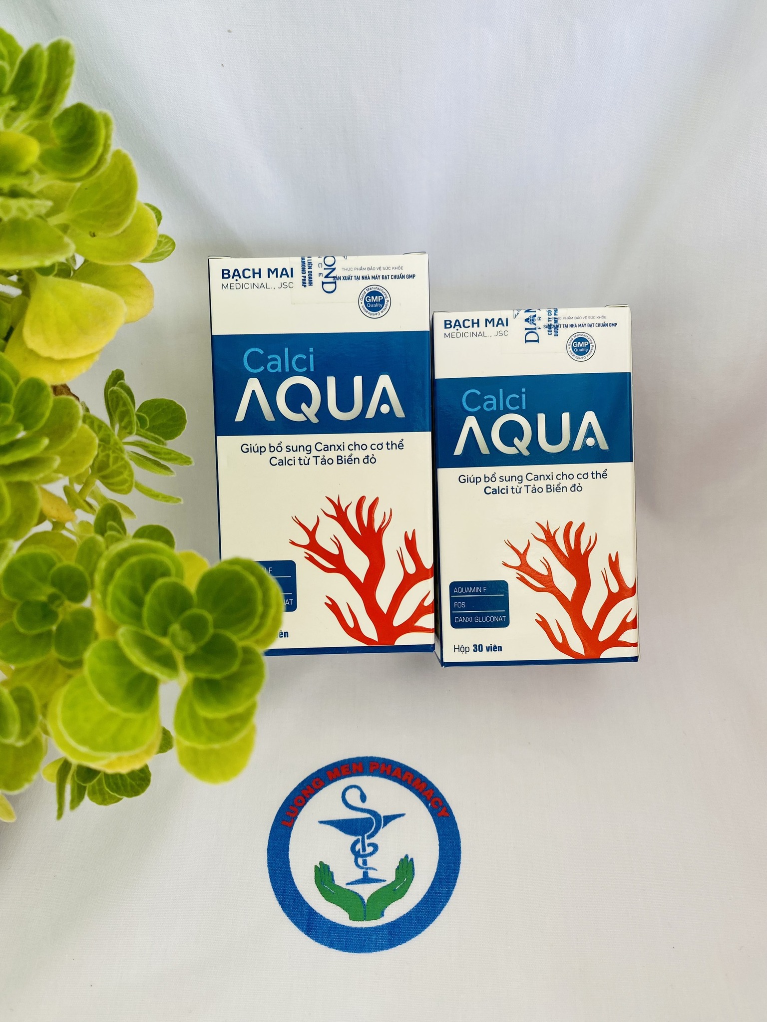 CALCI AQUA BỔ SUNG CANXI CHO TRẺ, BÀ BẦU, CHO CON BÚ, NGƯỜI GIÀ LOÃNG XƯƠNG HỘP 60 VIÊN